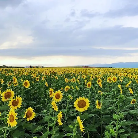 Sunny Day Слънчев бряг